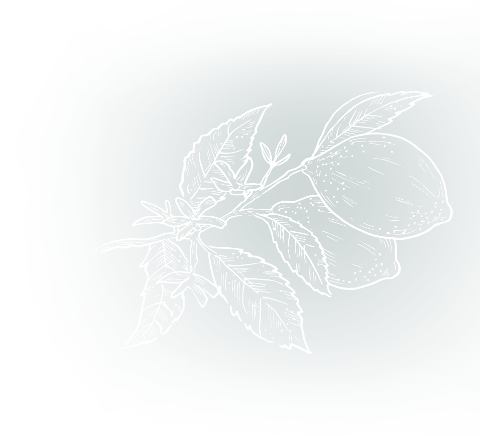 A white line drawing of a lemon branch with leaves, small flowers, and two lemons on a dark teal background.